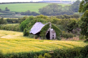 Countryside in County Down
