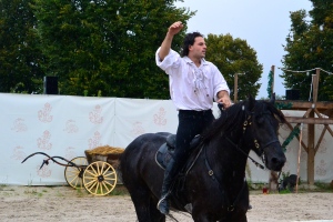 One of the performers (and his rider).