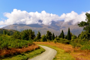 Natural beauty everywhere! New trails outside of Arrowtown.